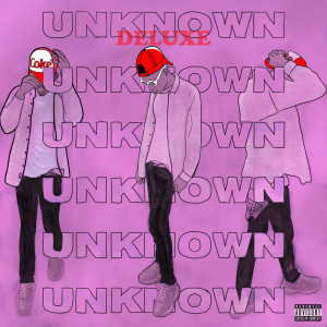 UNKNOWN (deluxe) - Instrumental Album